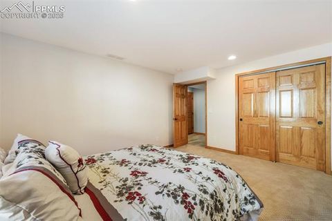 Tiny photo for 1116 Ptarmigan Drive, Woodland Park, CO 80863 (MLS # 8343244)