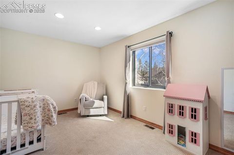 Tiny photo for 1116 Ptarmigan Drive, Woodland Park, CO 80863 (MLS # 8343244)