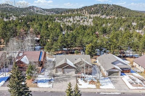 Tiny photo for 1116 Ptarmigan Drive, Woodland Park, CO 80863 (MLS # 8343244)