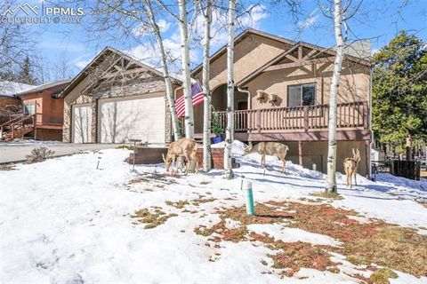 Photo of 1116 Ptarmigan Drive, Woodland Park, CO 80863 (MLS # 8343244)