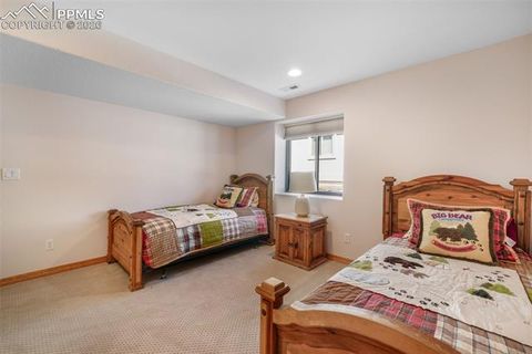 Tiny photo for 1116 Ptarmigan Drive, Woodland Park, CO 80863 (MLS # 8343244)