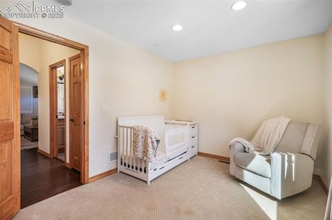 Tiny photo for 1116 Ptarmigan Drive, Woodland Park, CO 80863 (MLS # 8343244)