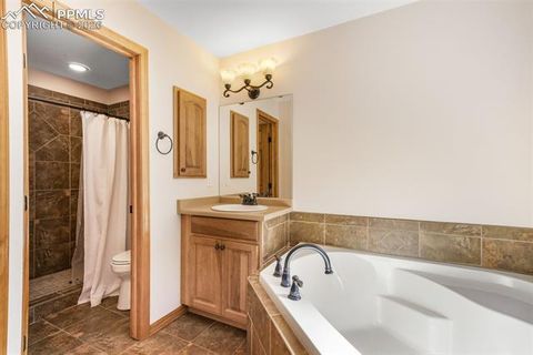 Tiny photo for 1116 Ptarmigan Drive, Woodland Park, CO 80863 (MLS # 8343244)