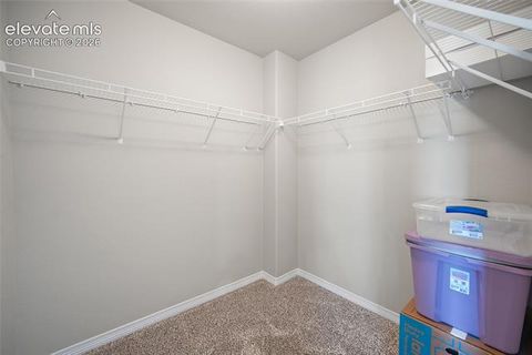 Tiny photo for 9835 Rubicon Drive, Colorado Springs, CO 80925 (MLS # 8379074)