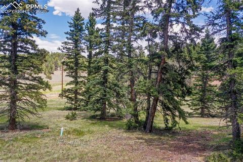 Tiny photo for 16 Echo Circle, Florissant, CO 80816 (MLS # 5331558)