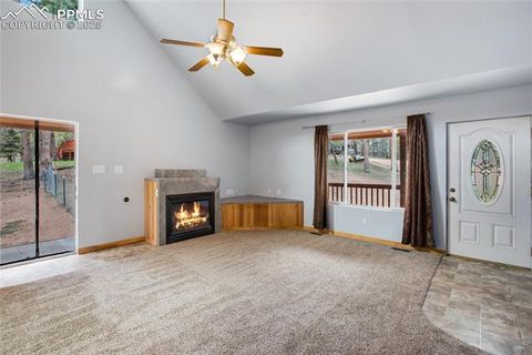 Tiny photo for 16 Echo Circle, Florissant, CO 80816 (MLS # 5331558)