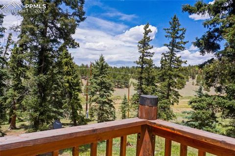 Tiny photo for 16 Echo Circle, Florissant, CO 80816 (MLS # 5331558)
