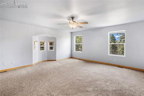 Tiny photo for 16 Echo Circle, Florissant, CO 80816 (MLS # 5331558)