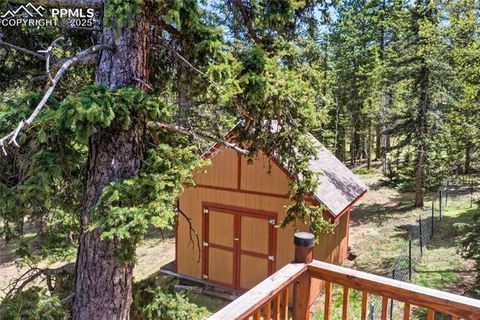 Tiny photo for 16 Echo Circle, Florissant, CO 80816 (MLS # 5331558)