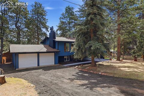 Tiny photo for 307 S Evergreen Street, Woodland Park, CO 80863 (MLS # 7545747)