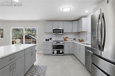 Tiny photo for 307 S Evergreen Street, Woodland Park, CO 80863 (MLS # 7545747)
