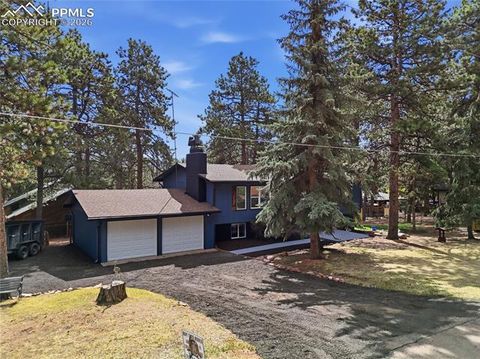 Tiny photo for 307 S Evergreen Street, Woodland Park, CO 80863 (MLS # 7545747)
