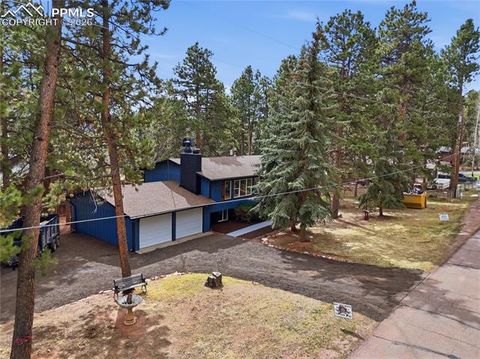 Tiny photo for 307 S Evergreen Street, Woodland Park, CO 80863 (MLS # 7545747)