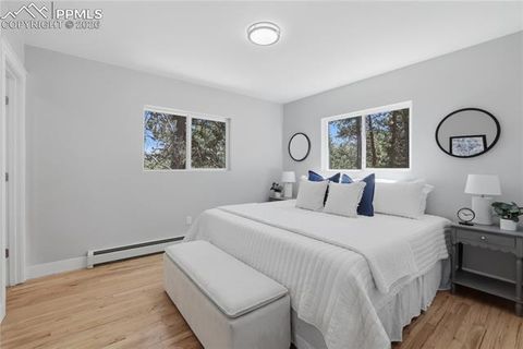 Tiny photo for 307 S Evergreen Street, Woodland Park, CO 80863 (MLS # 7545747)
