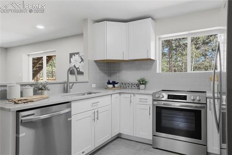 Tiny photo for 307 S Evergreen Street, Woodland Park, CO 80863 (MLS # 7545747)