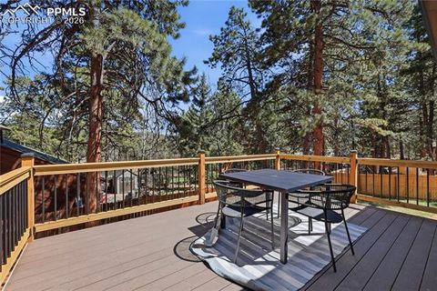 Tiny photo for 307 S Evergreen Street, Woodland Park, CO 80863 (MLS # 7545747)