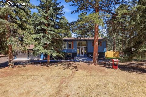 Tiny photo for 307 S Evergreen Street, Woodland Park, CO 80863 (MLS # 7545747)