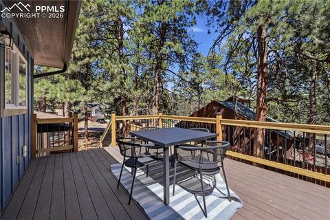 Tiny photo for 307 S Evergreen Street, Woodland Park, CO 80863 (MLS # 7545747)