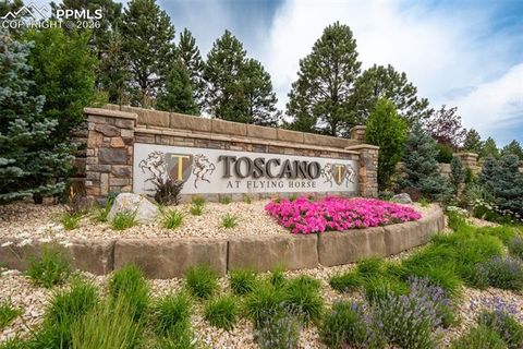 Tiny photo for 1575 Vine Cliff Heights, Colorado Springs, CO 80921 (MLS # 6162710)