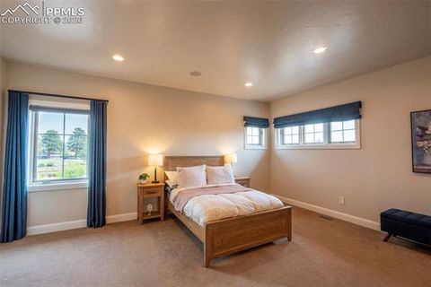 Tiny photo for 1575 Vine Cliff Heights, Colorado Springs, CO 80921 (MLS # 6162710)