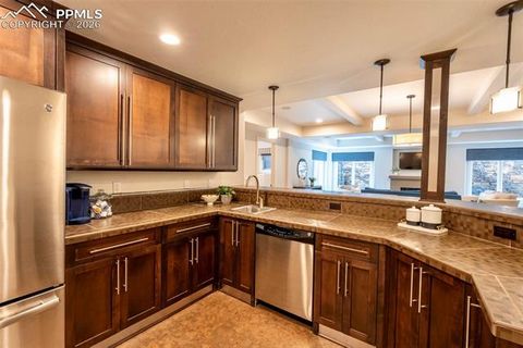 Tiny photo for 1575 Vine Cliff Heights, Colorado Springs, CO 80921 (MLS # 6162710)