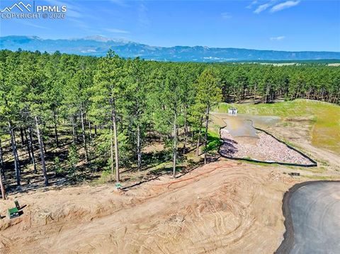 Photo of 14191 Allen Ranch Road, Colorado Springs, CO 80908 (MLS # 7480275)