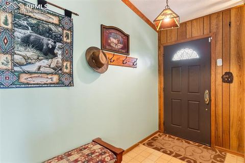 Tiny photo for 5580 Moosa Road, Cascade, CO 80809 (MLS # 6405626)