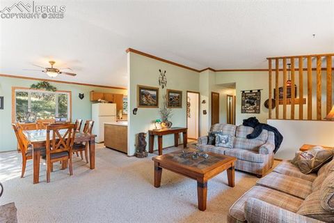 Tiny photo for 5580 Moosa Road, Cascade, CO 80809 (MLS # 6405626)