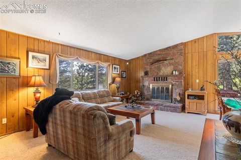 Tiny photo for 5580 Moosa Road, Cascade, CO 80809 (MLS # 6405626)