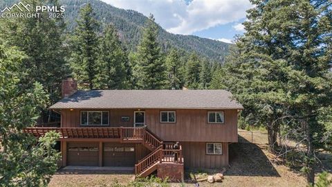 Tiny photo for 5580 Moosa Road, Cascade, CO 80809 (MLS # 6405626)