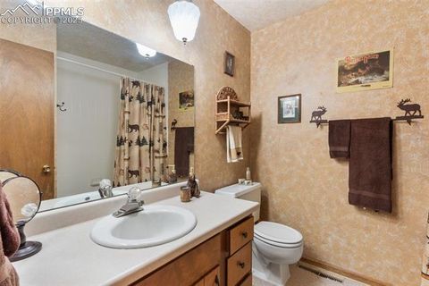 Tiny photo for 5580 Moosa Road, Cascade, CO 80809 (MLS # 6405626)