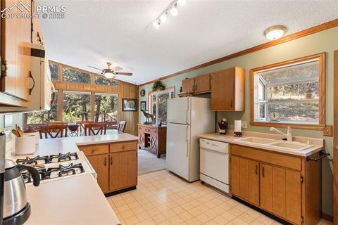 Tiny photo for 5580 Moosa Road, Cascade, CO 80809 (MLS # 6405626)