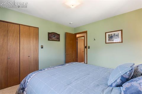 Tiny photo for 5580 Moosa Road, Cascade, CO 80809 (MLS # 6405626)