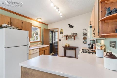 Tiny photo for 5580 Moosa Road, Cascade, CO 80809 (MLS # 6405626)