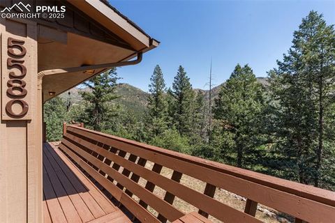 Tiny photo for 5580 Moosa Road, Cascade, CO 80809 (MLS # 6405626)