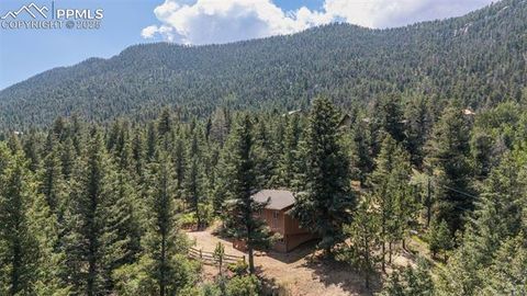 Tiny photo for 5580 Moosa Road, Cascade, CO 80809 (MLS # 6405626)