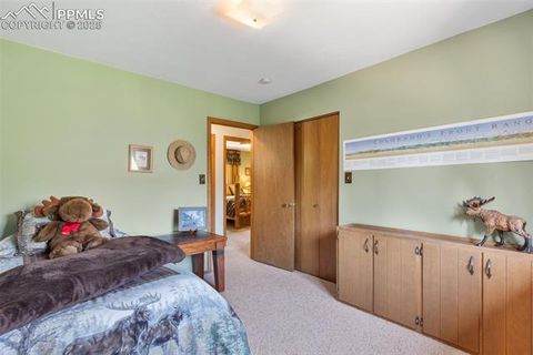 Tiny photo for 5580 Moosa Road, Cascade, CO 80809 (MLS # 6405626)