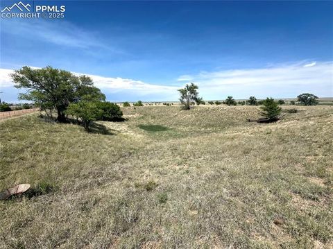 Tract 2 S East Ellicott Road Calhan CO 80808