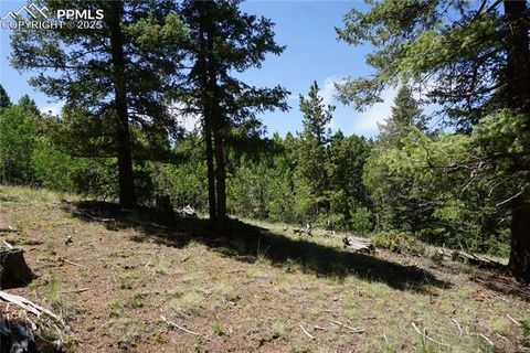 Photo of 1000 Bennett Drive, Cripple Creek, CO 80813 (MLS # 4436931)