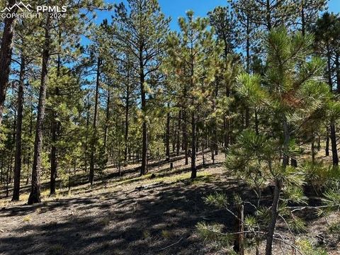 14581 Quartz Creek Drive Colorado Springs CO 80908