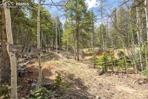 Photo of 714 Will Stutley Drive, Divide, CO 80814 (MLS # 7114791)