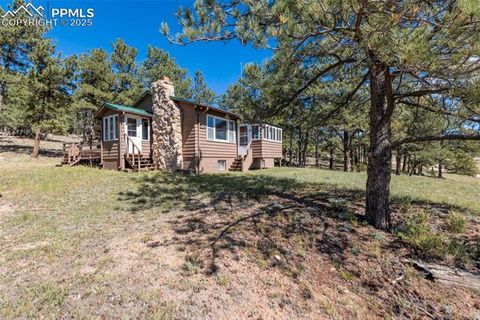 Tiny photo for 44 Remuda Lane, Florissant, CO 80816 (MLS # 2814995)