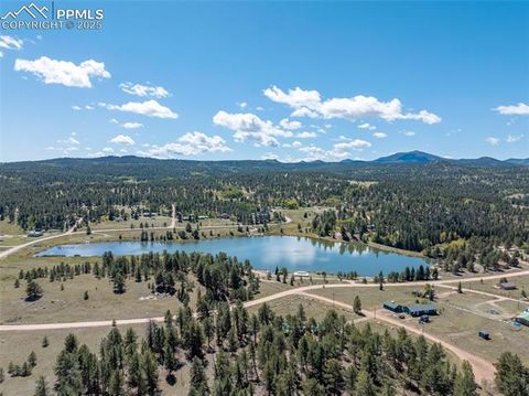 Tiny photo for 44 Remuda Lane, Florissant, CO 80816 (MLS # 2814995)