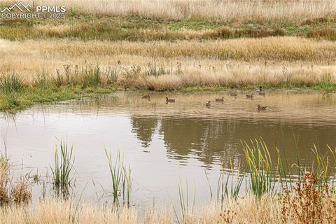 Tiny photo for 8115 Mustang Road, Colorado Springs, CO 80908 (MLS # 3391592)