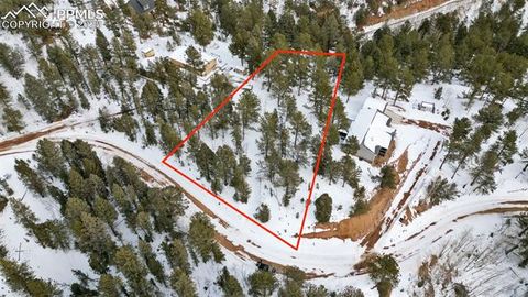 694 Horseshoe Drive Divide CO 80814