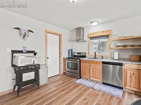 Tiny photo for 101 W Galena Avenue, Cripple Creek, CO 80813 (MLS # 5817343)