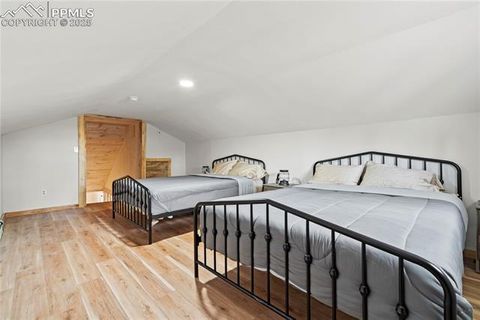 Tiny photo for 101 W Galena Avenue, Cripple Creek, CO 80813 (MLS # 5817343)