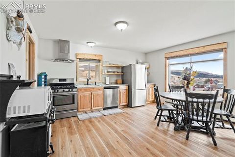 Tiny photo for 101 W Galena Avenue, Cripple Creek, CO 80813 (MLS # 5817343)