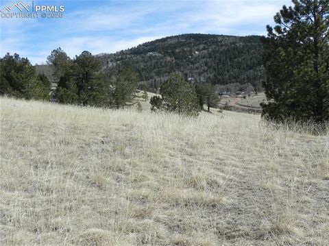 Photo of 1087 Monarch Drive, Cripple Creek, CO 80813 (MLS # 7978654)