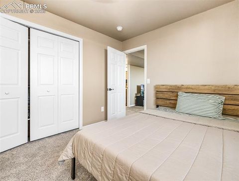 Tiny photo for 100 Pleasure Trail, Penrose, CO 81240 (MLS # 1865015)